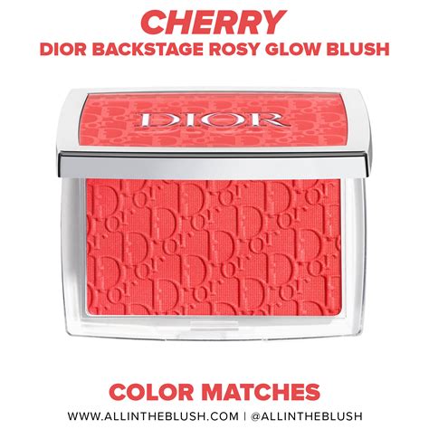 fake dior blush|dior blush cheap.